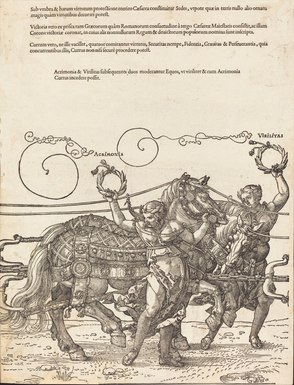 Maximilian I. diadalszekere A nagy diadalkocsi [8/6. tábla], 1523, latin kiadás. alkotó: Albrecht Dürer