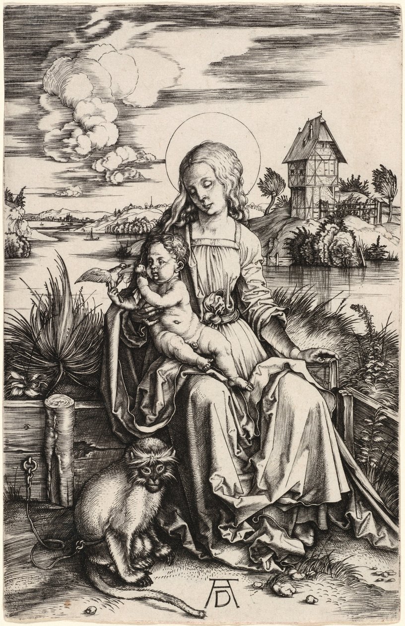 A Szűz Mária a Gyermekkel és a majommal alkotó: Albrecht Dürer