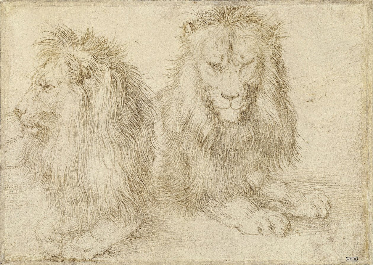 Két ülő oroszlán, 1521 alkotó: Albrecht Dürer