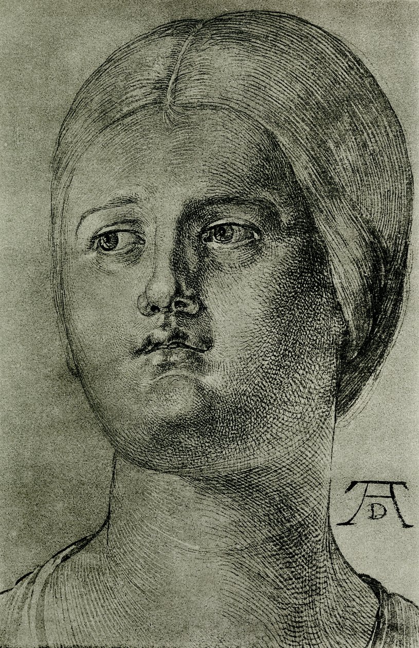 Velencei nő feje alkotó: Albrecht Dürer