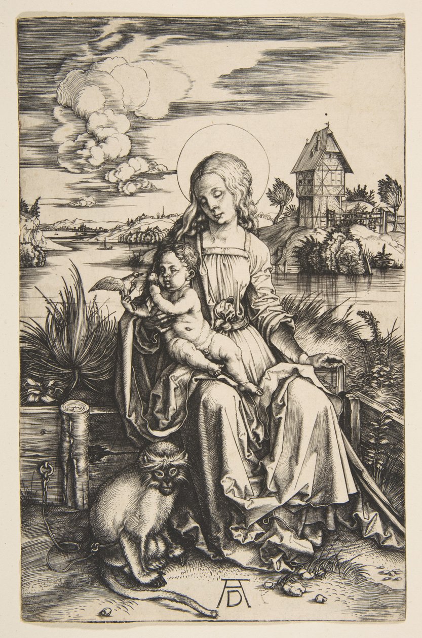 Szűz Mária a gyermekkel és a majommal alkotó: Albrecht Dürer
