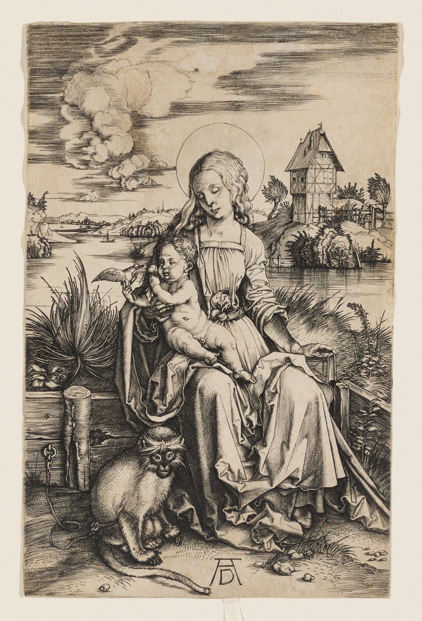 Szűz Mária a gyermekkel és a majommal alkotó: Albrecht Dürer