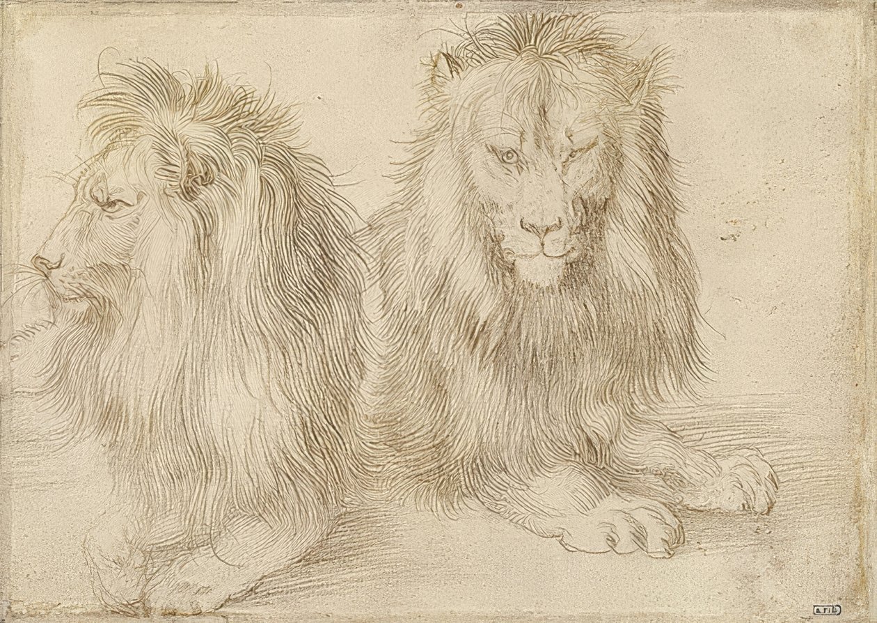Két hazug oroszlán. 1521 alkotó: Albrecht Dürer