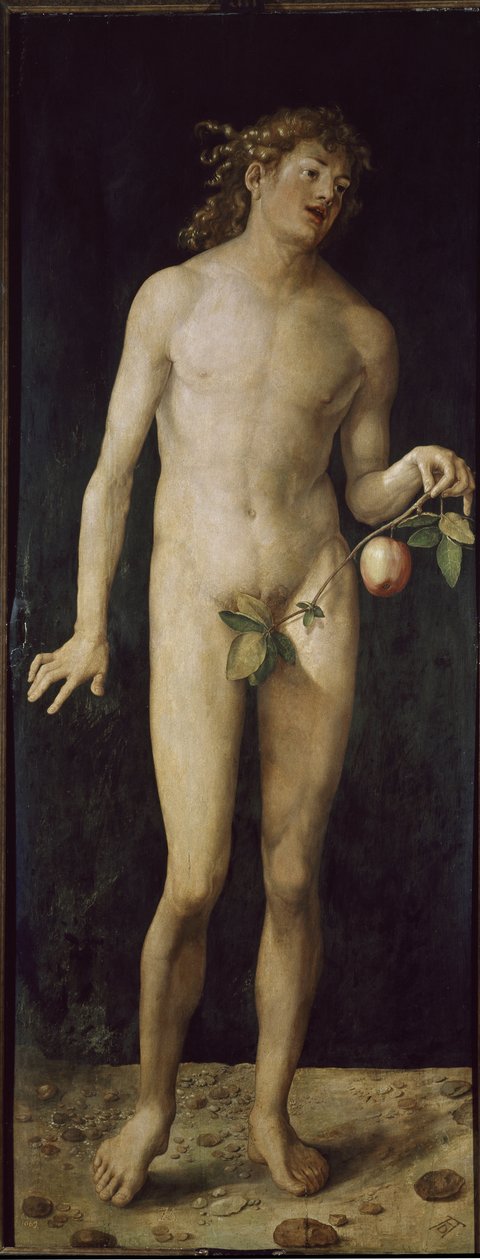 Ádám (olaj, fa alkotó: Albrecht Dürer