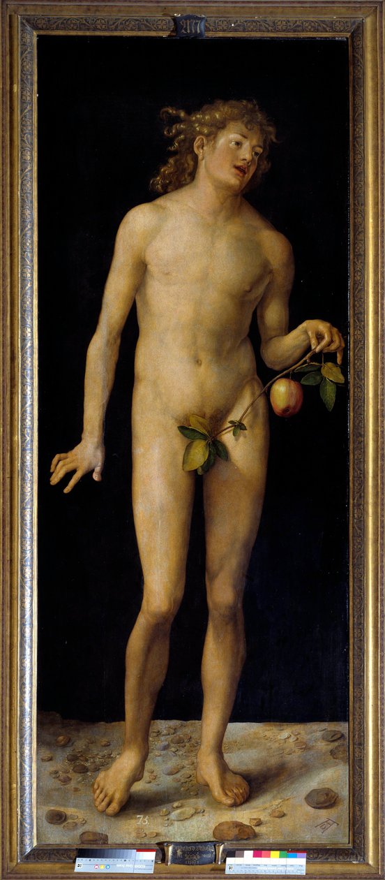 Albrecht Durer Ádám festménye (1471-1528) 1507 V. 2,09 x 0,80 m Madrid, Prado Múzeum - Adam. Albrecht Durer (1471-1528) festménye, olajtábla alkotó: Albrecht Dürer