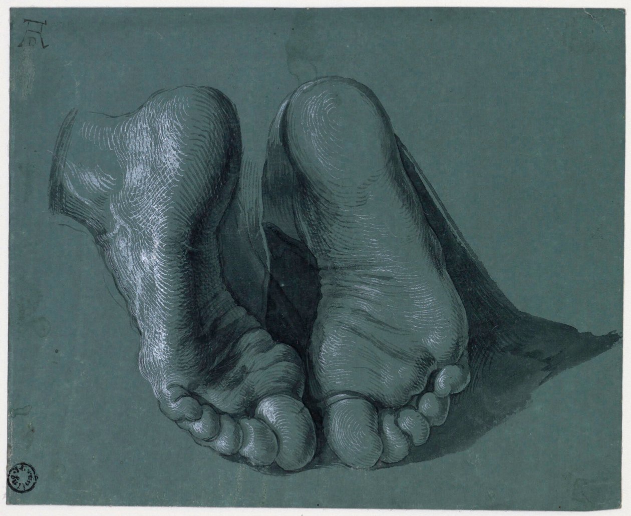 Etude de pieds - Tanulmány a két lábról - Albrecht Durer (1471-1528) rajza, Akvarell, fehér színű, fekete kréta papíron, c1508 (17,6x21,6 cm) - Boijmans Van Beuningen Múzeum, Rotterdam alkotó: Albrecht Dürer