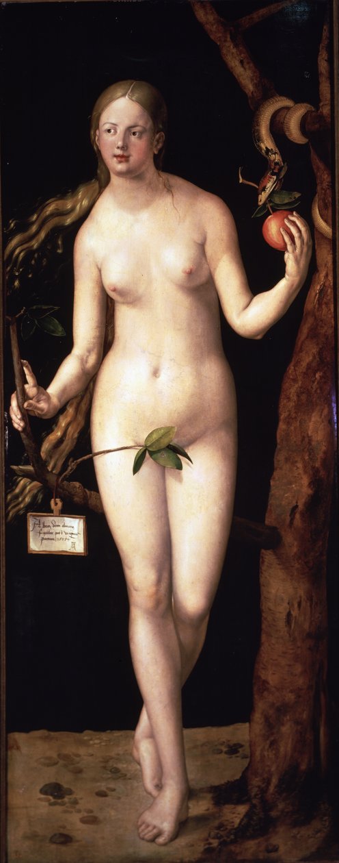  alkotó: Albrecht Dürer or Duerer
