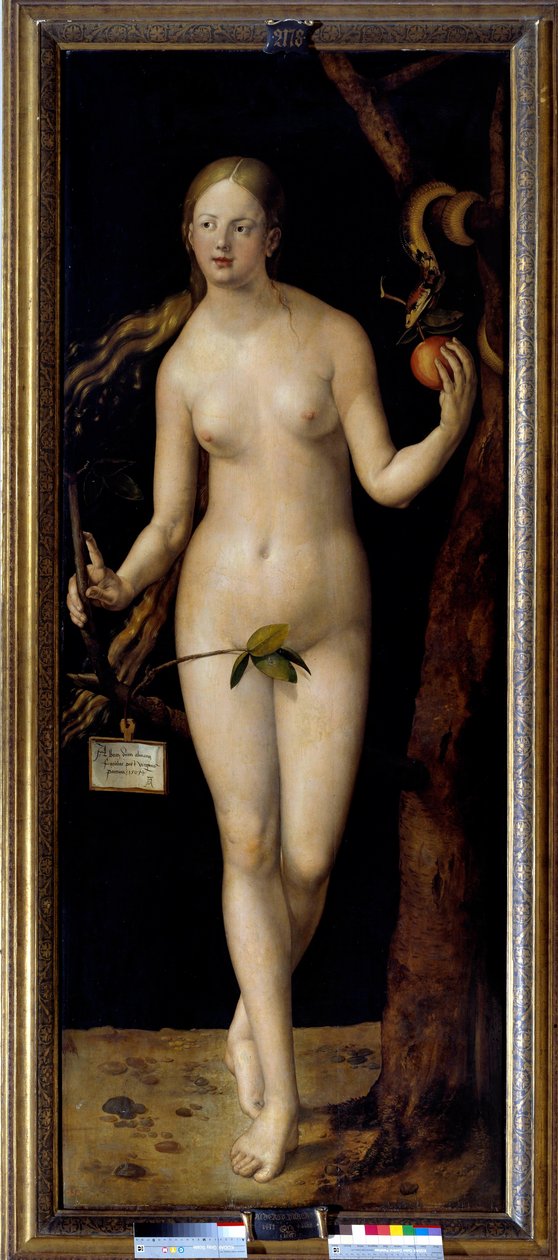 Éva festmény Albrecht Durer (1471-1528), olaj, fa alkotó: Albrecht Dürer