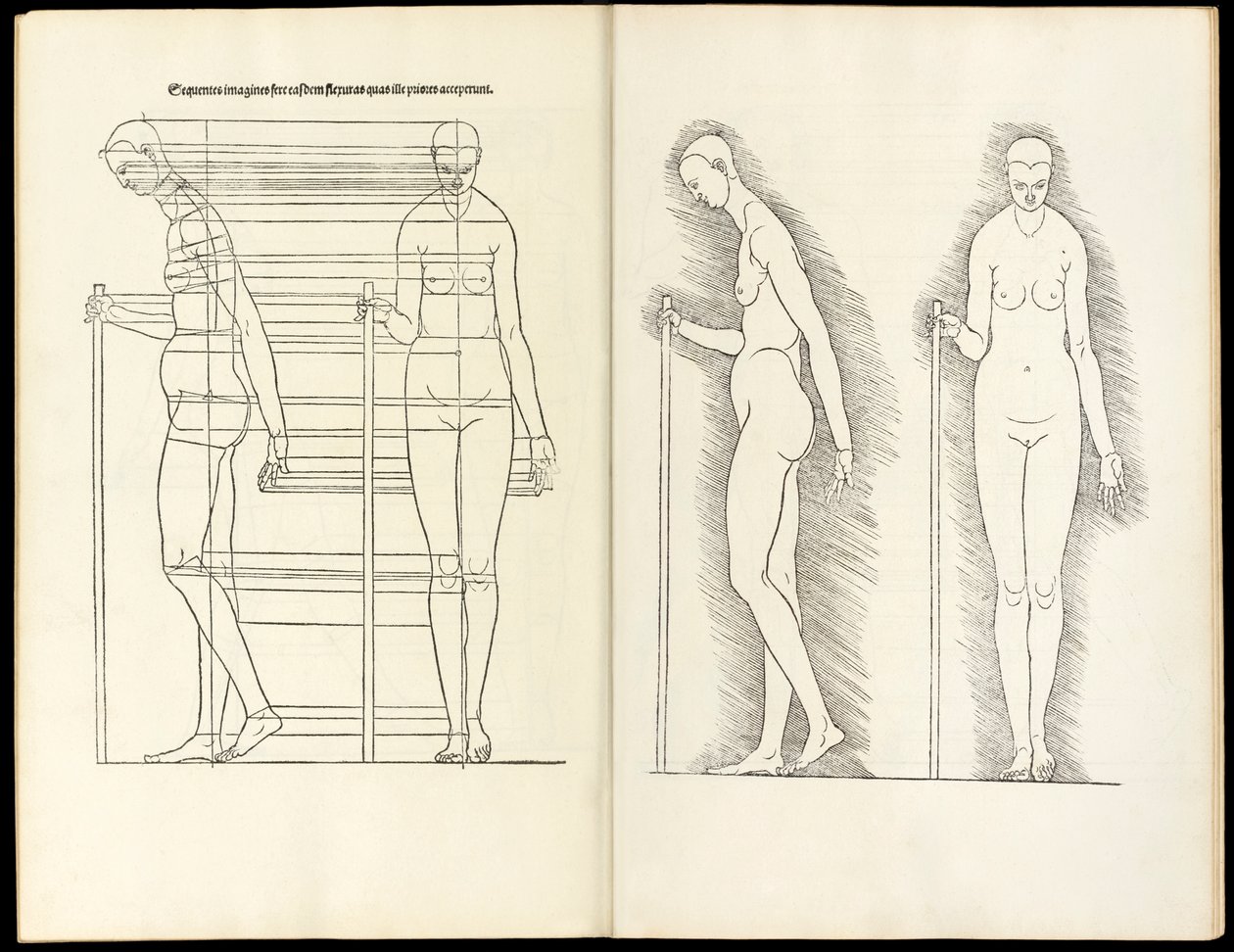 Nő bottal, anatómiai fametszet innen származó négy emberi arányú könyv, 1528 alkotó: Albrecht Dürer