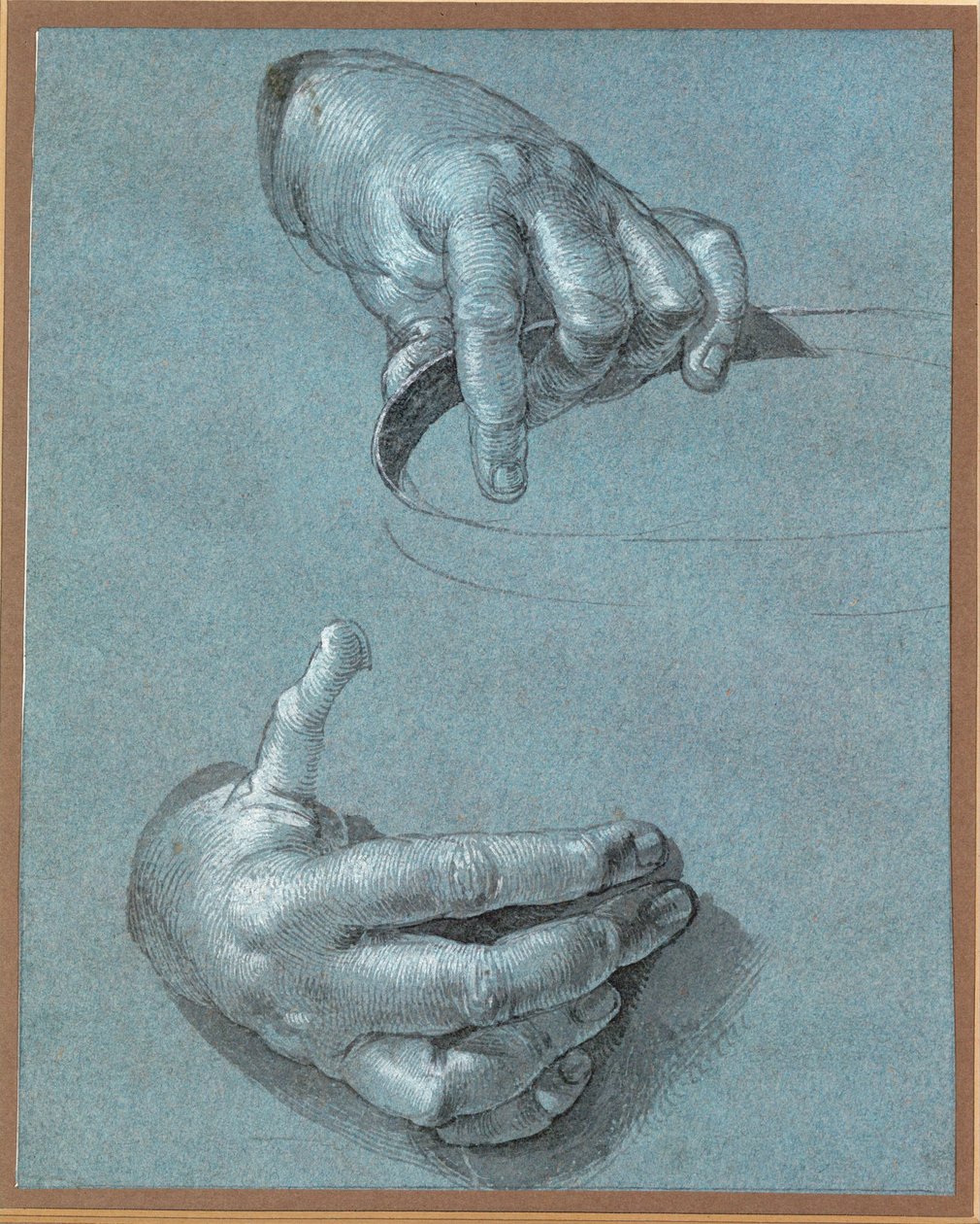 Kéz - Két tanulmány (krétarajz kék papírra ) alkotó: Albrecht Dürer or Duerer