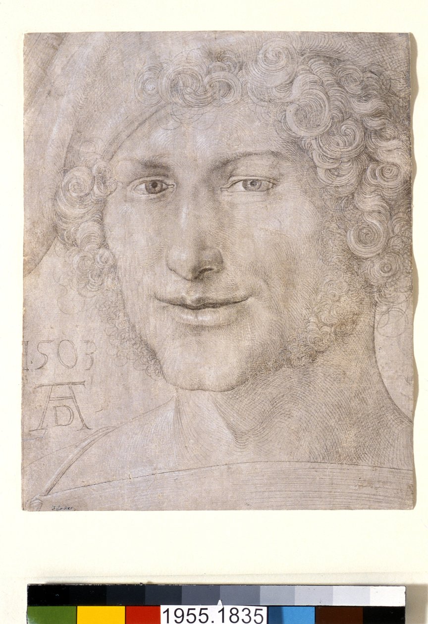 Egy fiatalember feje, 1503 alkotó: Albrecht Dürer