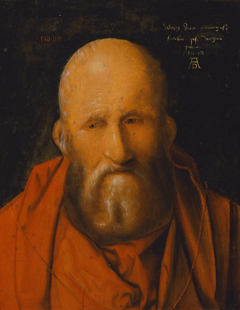 Szent Jeromos alkotó: Albrecht Dürer