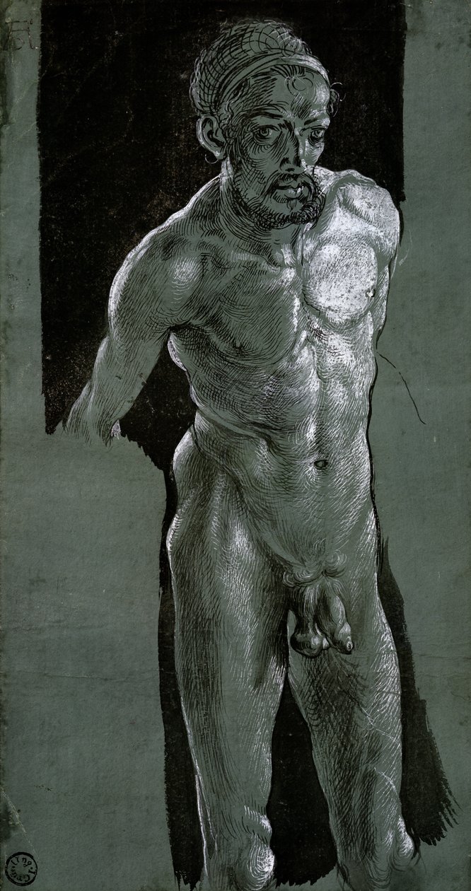 Önarckép, 1503 körül (tinta, papír) alkotó: Albrecht Dürer