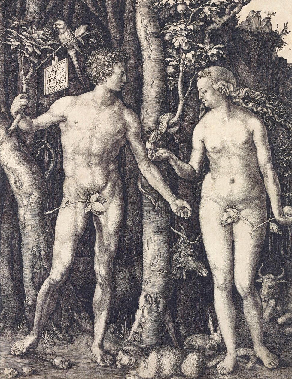 Albrecht Durer: Az ember bukása alkotó: Albrecht Dürer