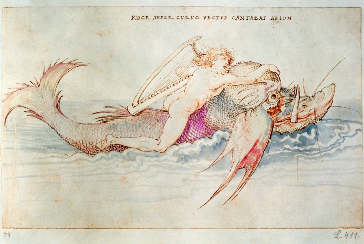 Arion görög költő delfinlovagláson, 1515 körül (akvarell, papír) alkotó: Albrecht Dürer or Duerer