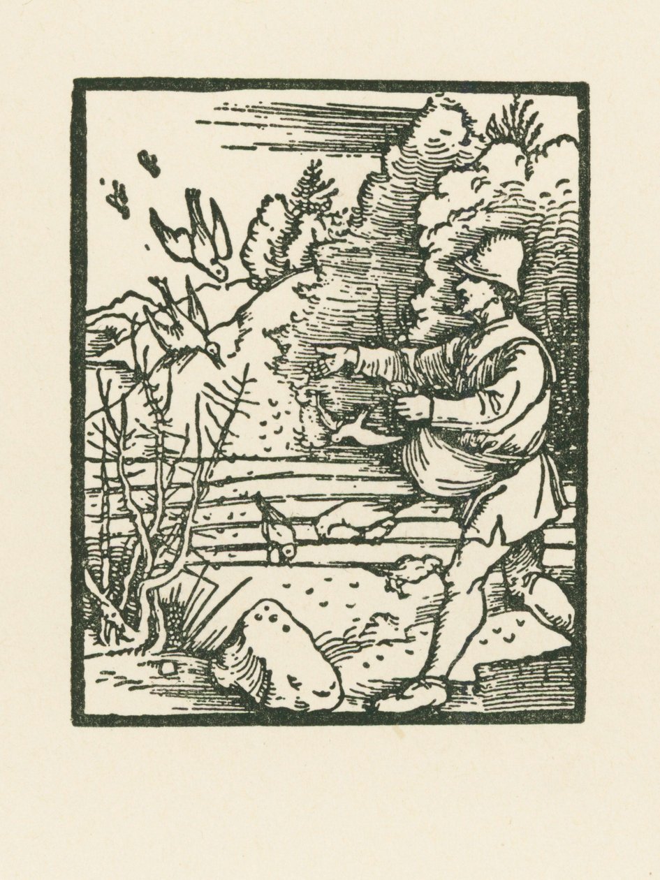 A vetés példázata alkotó: Albrecht Dürer or Duerer