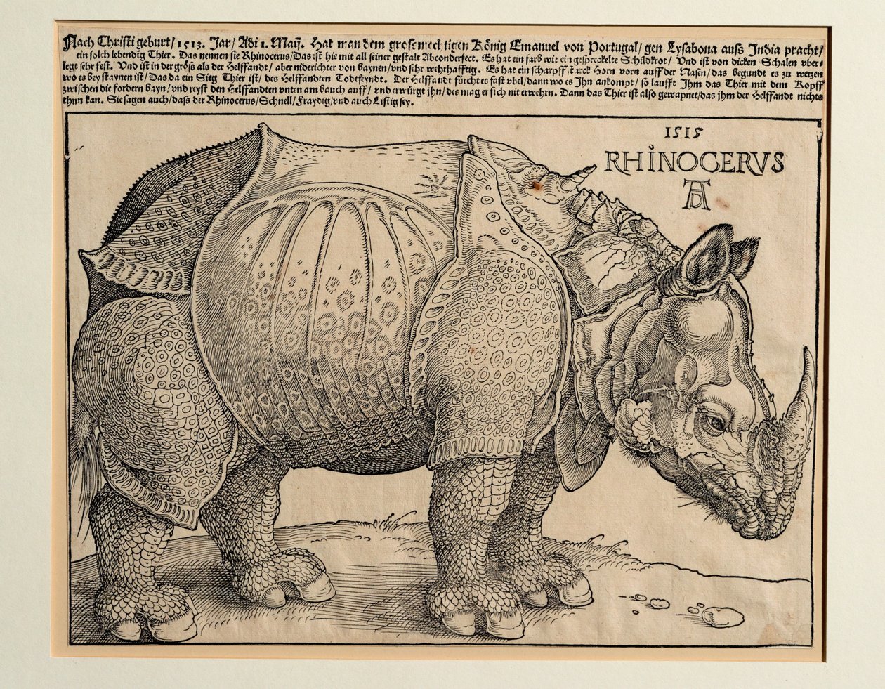 Az orrszarvú alkotó: Albrecht Dürer or Duerer
