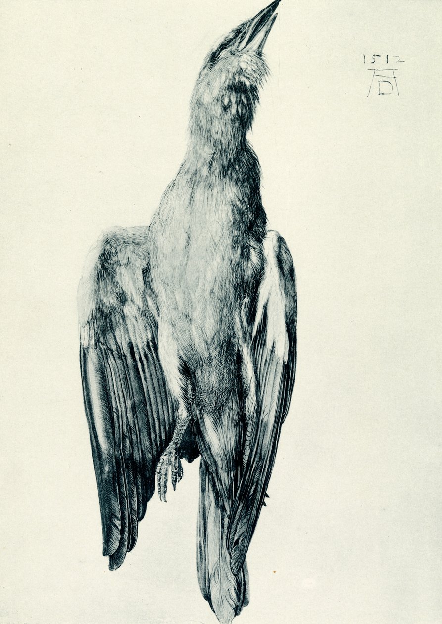 A halott kék görgő alkotó: Albrecht Dürer