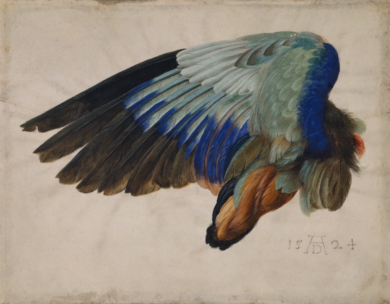 Egy európai görgő szárnya alkotó: Albrecht Dürer