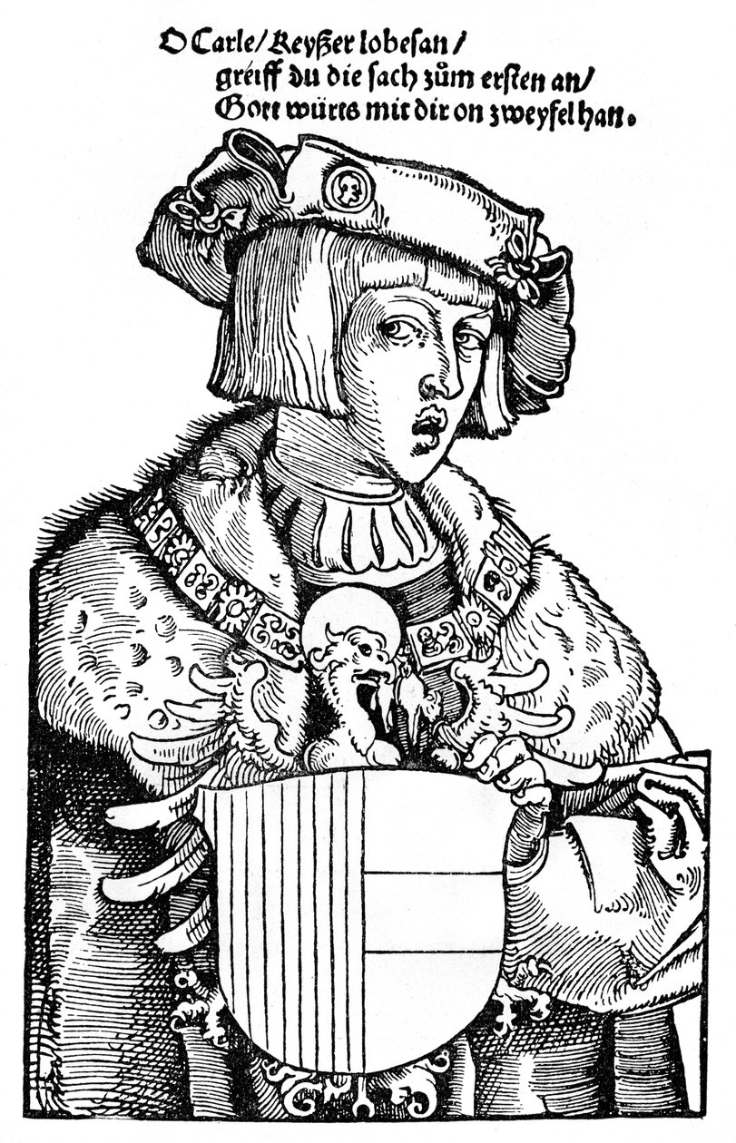 Az ifjú Károly V alkotó: Albrecht Dürer
