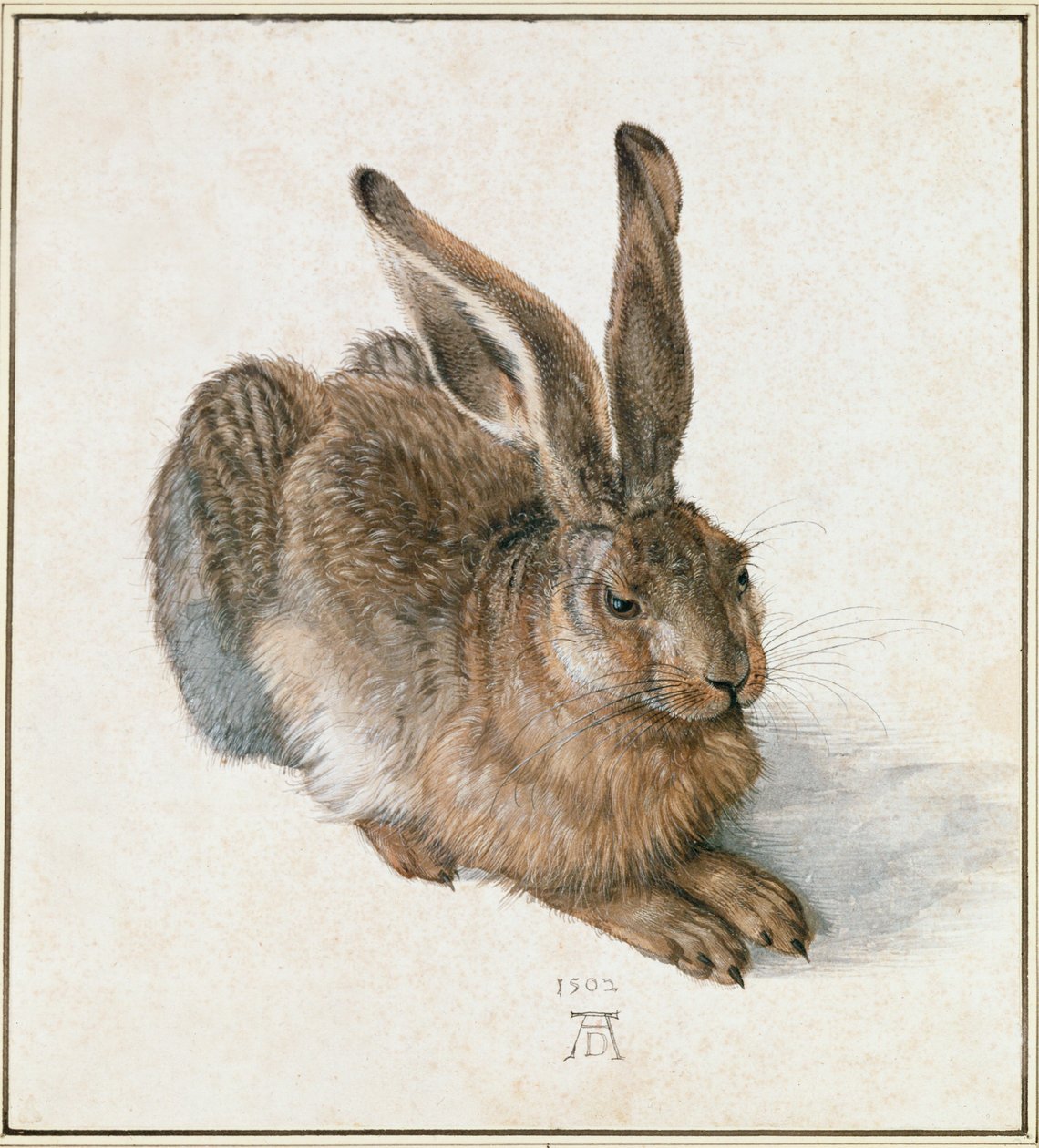 Fiatal nyúl alkotó: Albrecht Dürer or Duerer