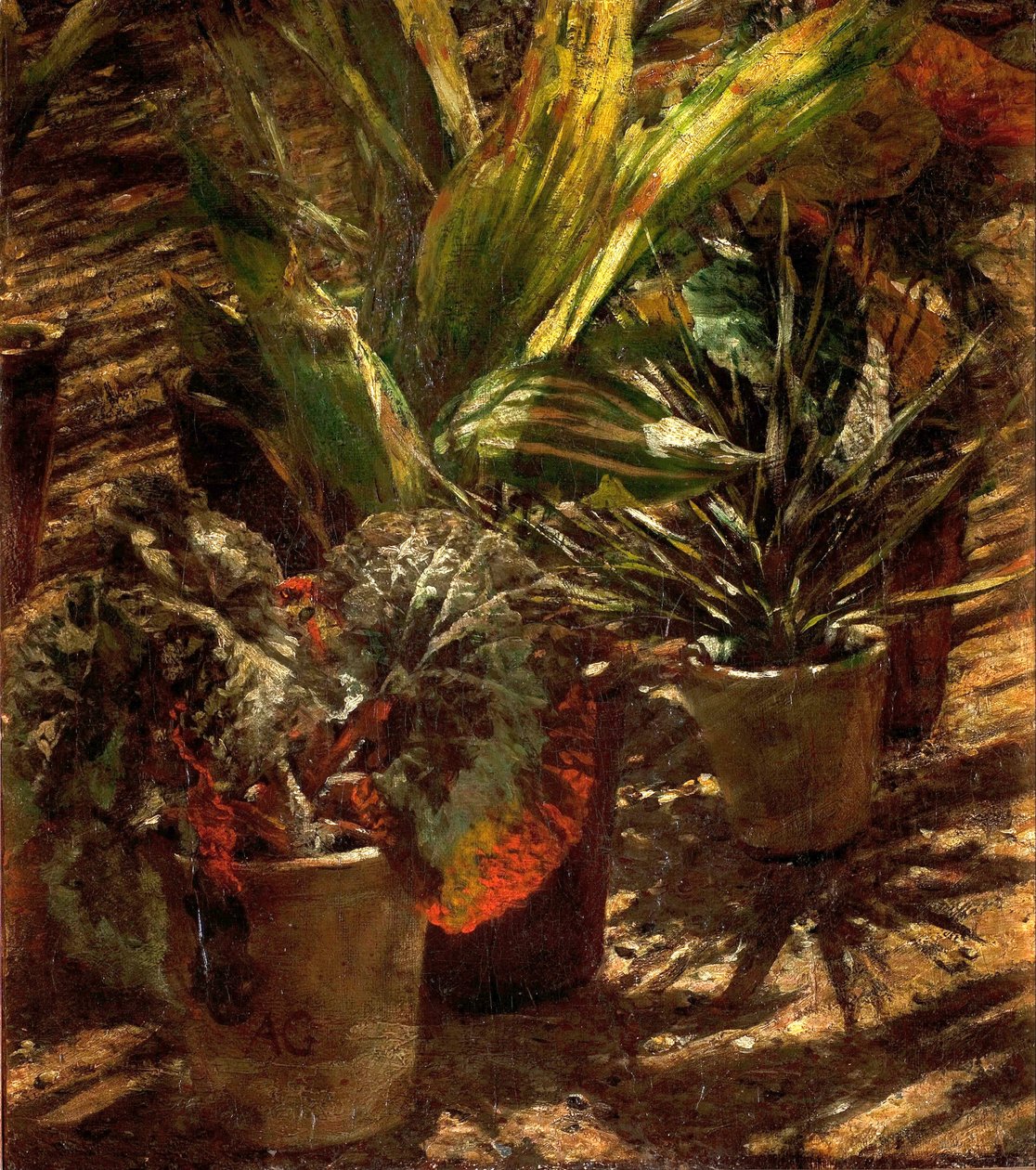 Begonie alkotó: Aleksander Gierymski