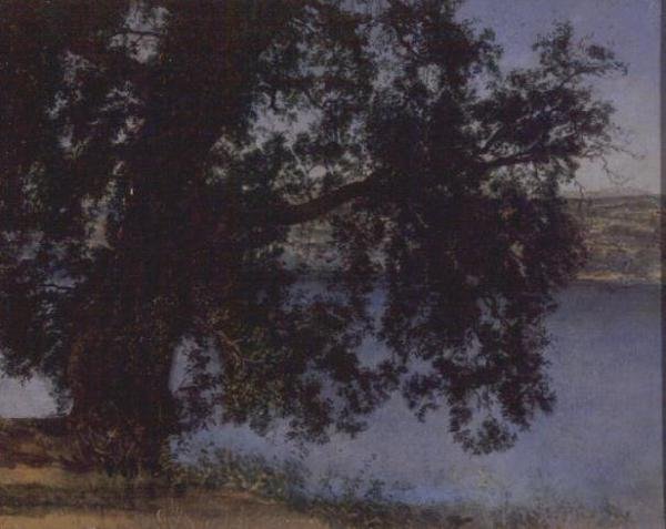 Fa az árnyékban a víz felett Castel Gandolfo közelében, 1846 előtt (olaj, papír) alkotó: Aleksandr Andreevich Ivanov