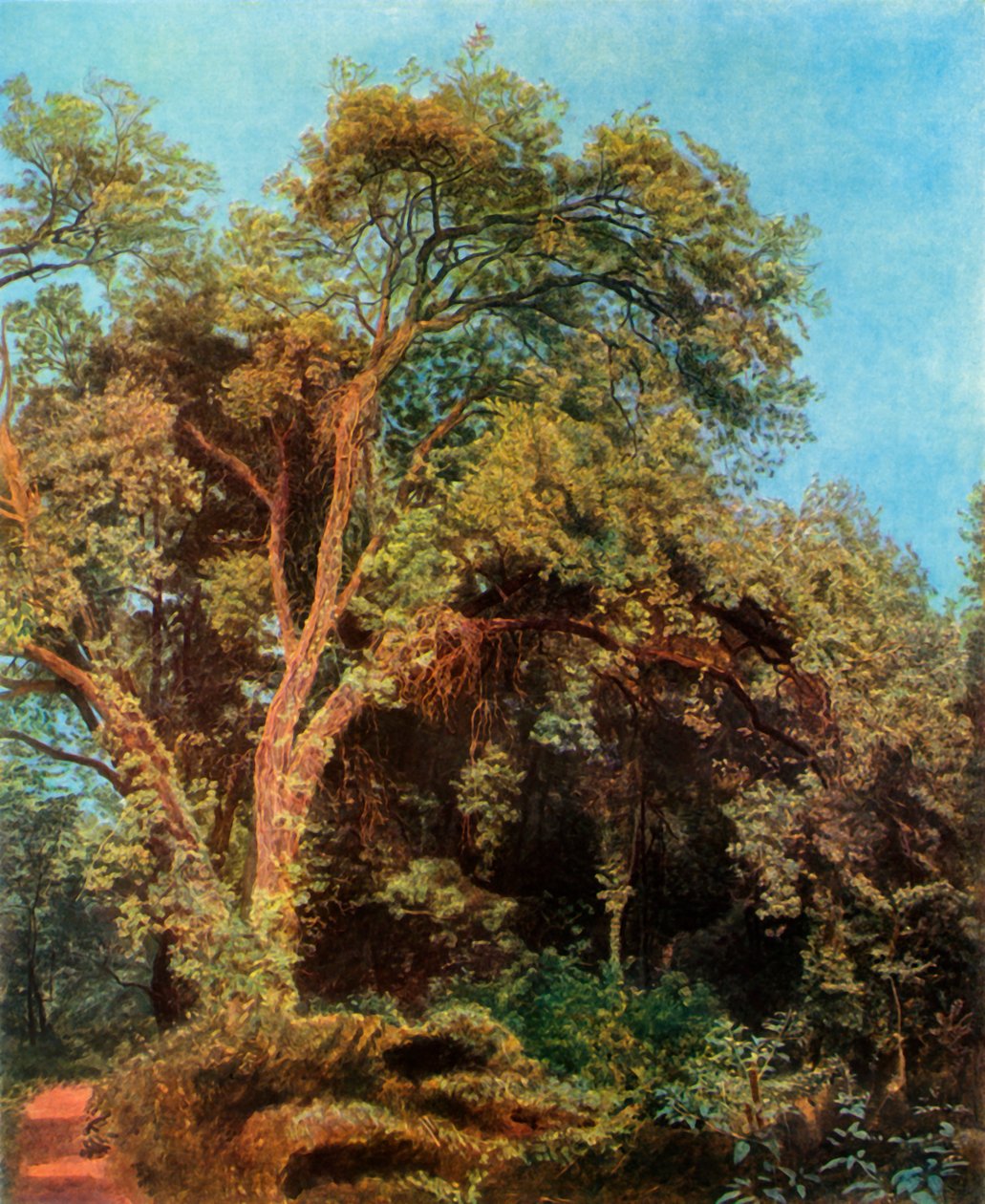 Fa a parkban, 19. század közepe, 1965. alkotó: Aleksandr Ivanov
