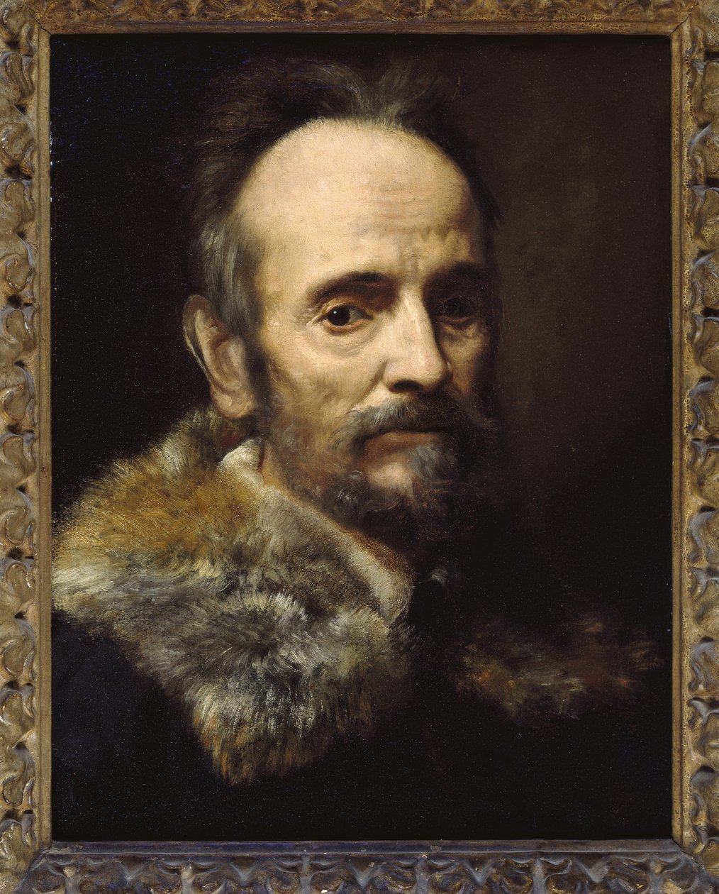 Bernardo Davanzati Bostichi alkotó: Alessandro Allori