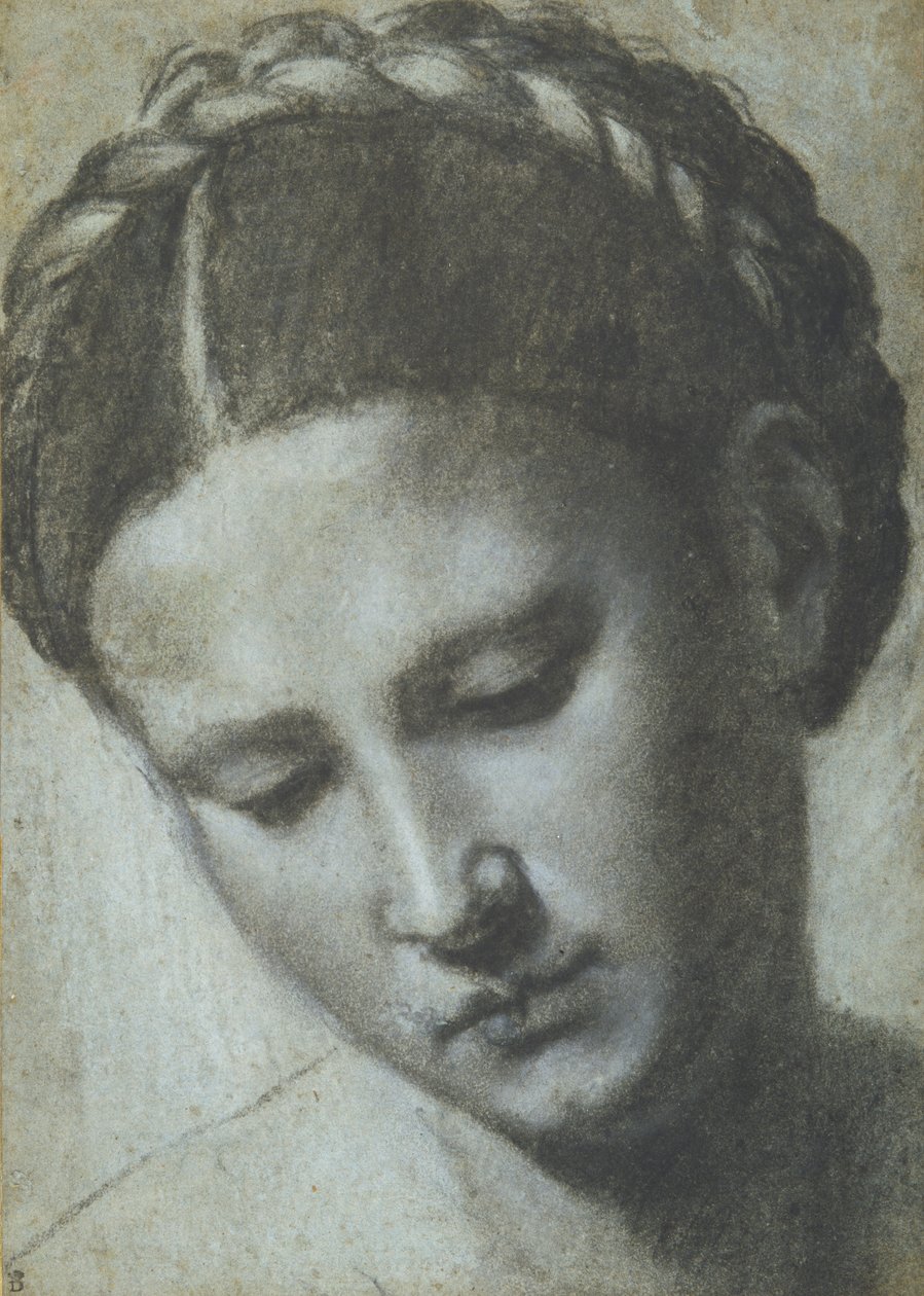 Egy női fej fonott hajjal (szén és fehér kréta a carta azzurán) alkotó: Alessandro Bonvicino Moretto