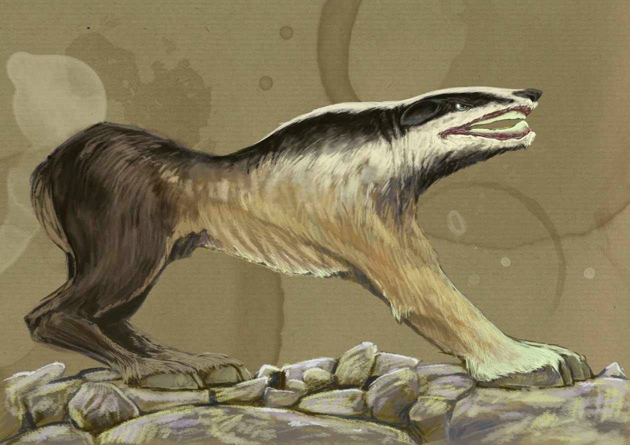 Fantasztikus szörnyek és lények, kriptozoológia: egy krokott (vagy leucrotta, corocotta, crocuta, yena) mitikus farkaskutya ábrázolása Indiából vagy Etiópiából (a krokotta (vagy corokotta, crocuta, leucrocotta vagy yena) egy mitikus indiai kutyafarkas vagy alkotó: Alessandro Lonati