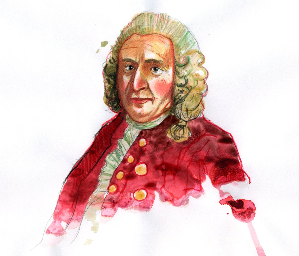 Carl Linnaeus, majd Carl von Linne (1707-1778) svéd természettudós portréja (Carl Linnaeus portréja) alkotó: Alessandro Lonati
