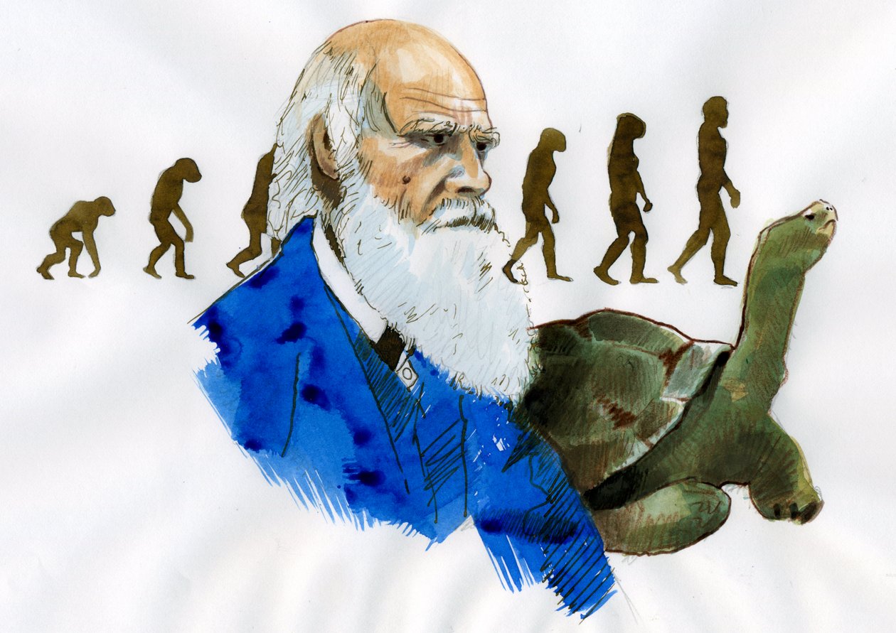 Charles Darwin portréja - Charles Darwin angol természettudós portréja (1809-1882) Illusztráció alkotó: Alessandro Lonati