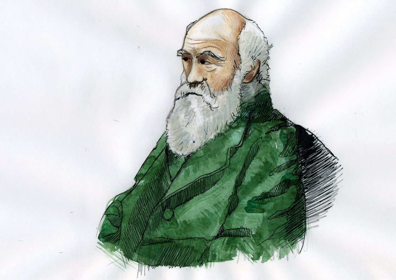 Charles Darwin portréja - Charles Darwin angol természettudós portréja (1809-1882) Illusztráció alkotó: Alessandro Lonati