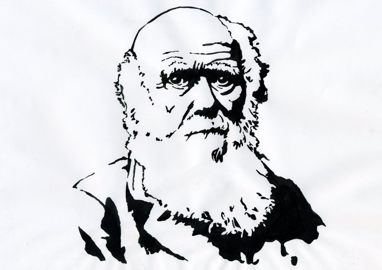 Charles Darwin portréja - Charles Darwin angol természettudós portréja (1809-1882) Illusztráció alkotó: Alessandro Lonati
