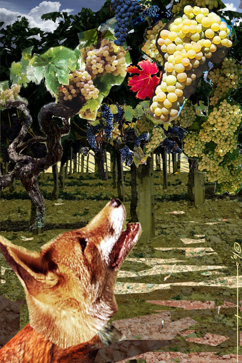 A róka és a szőlő Illusztráció Esope (Kr. e. 7-6. század) görög író meséjéhez. Illusztráció: Alesandro Lonati. 2010 alkotó: Alessandro Lonati