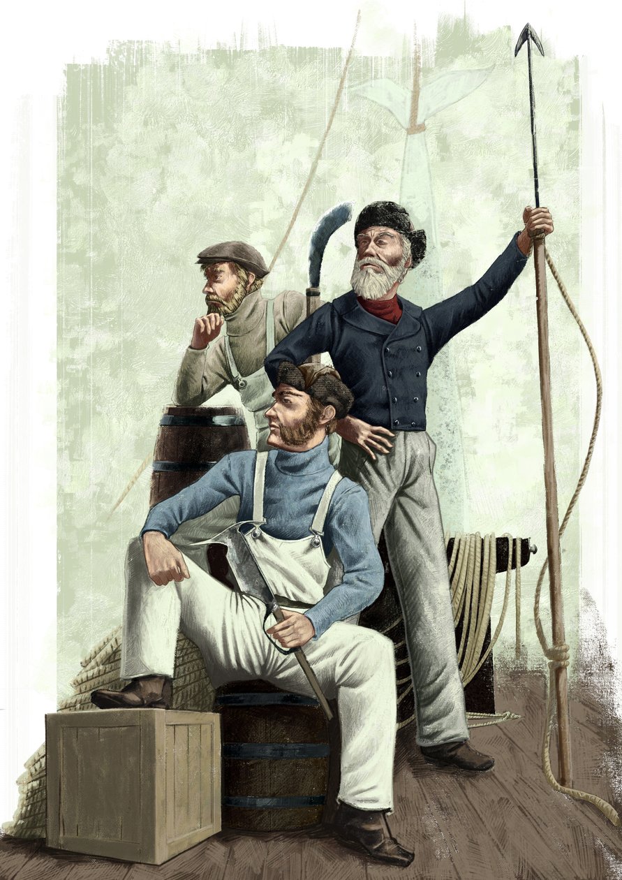 Három bálna alkotó: Alessandro Lonati