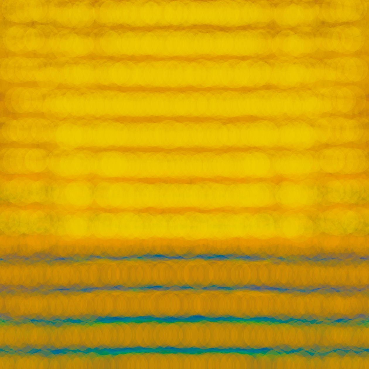 nap, 2015, (digitális) alkotó: Alex Caminker