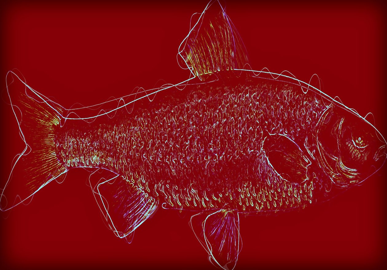 Fish V, 2020 (vegyes technika) alkotó: Alex Caminker