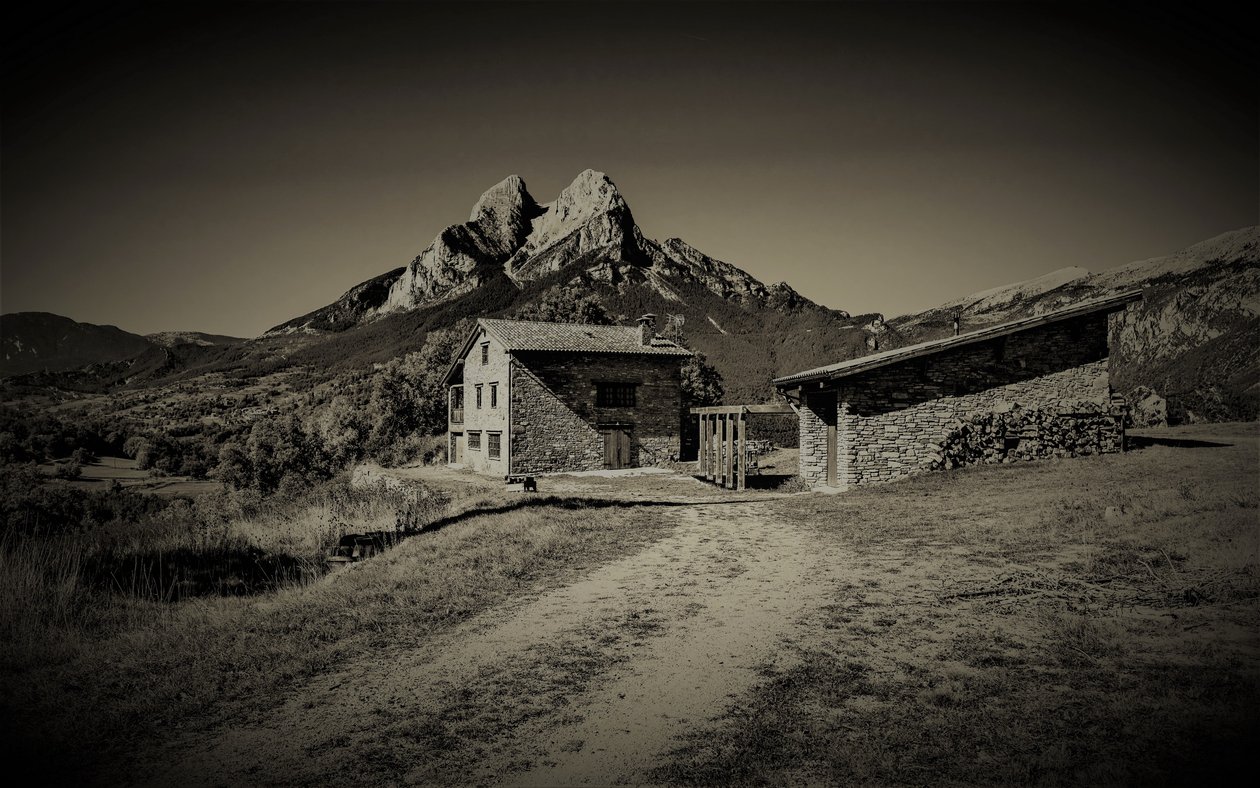 hegyi út, 2019, (fotó) alkotó: Alex Caminker