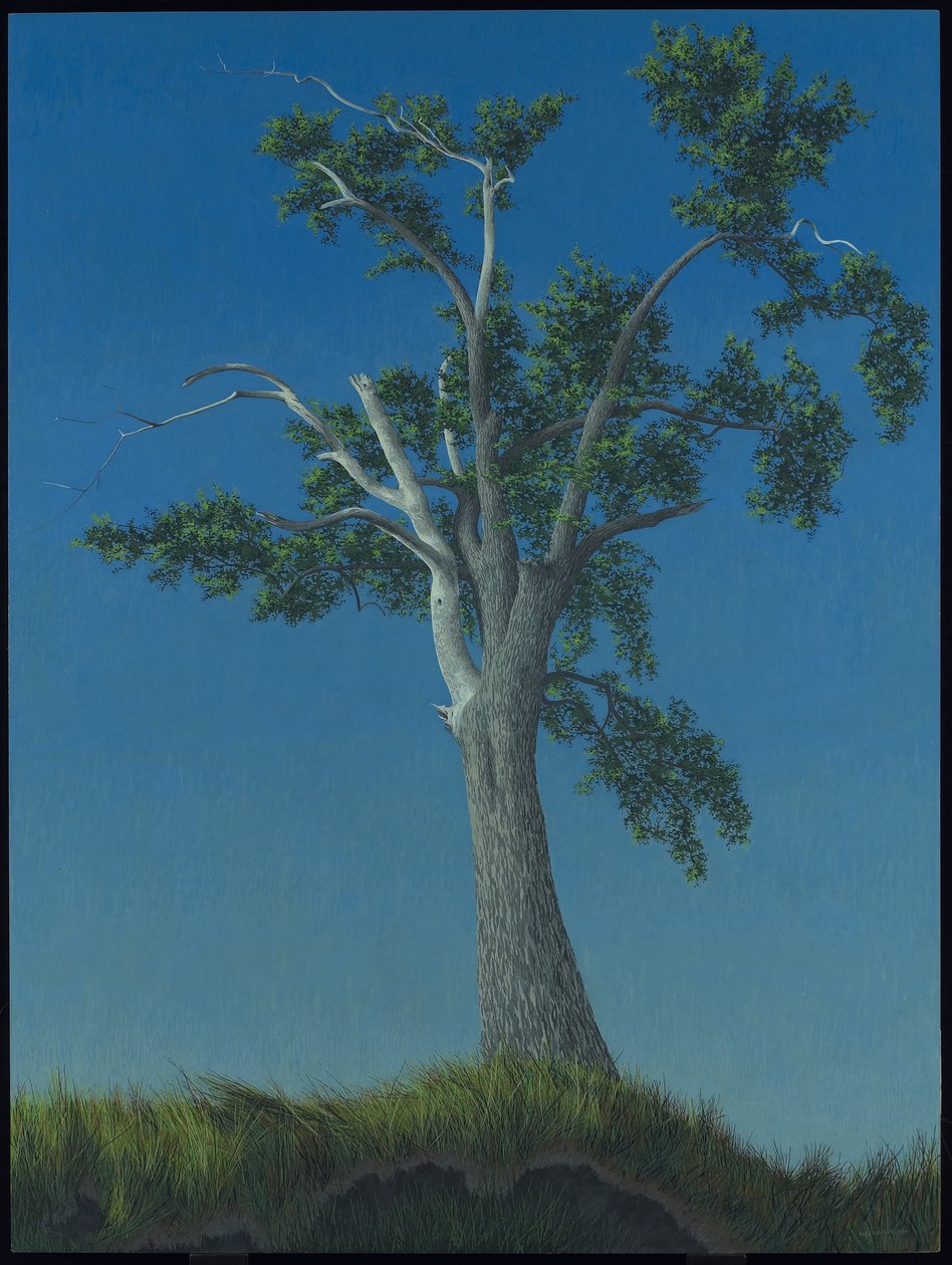 Elm Tree at Horton Landing alkotó: Alex Colville