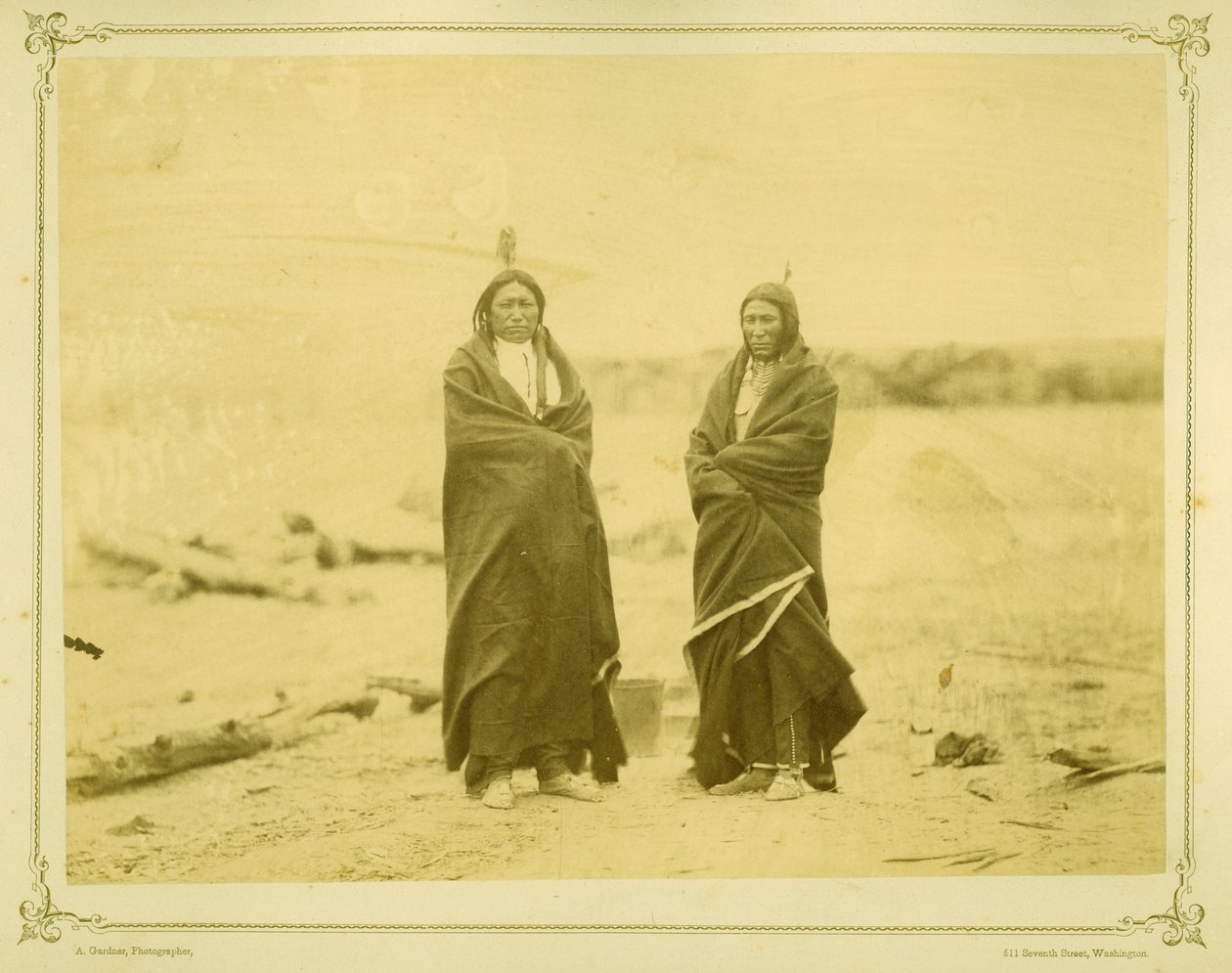 Foltos farkú és gyors medve, 1868 (albumin nyomat) alkotó: Alexander Gardner