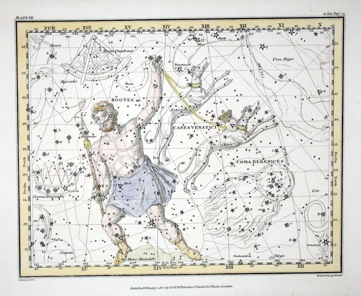 A csillagképek (VII. tábla) Bootes és Mons Maenalus, Asterion és Chara vagy Canes Venatici, Coma Berenices, , Alexander Jamieson "A Celestial Atlas" című művéből. London 1822 (kézi színes metszet). alkotó: Alexander Jamieson
