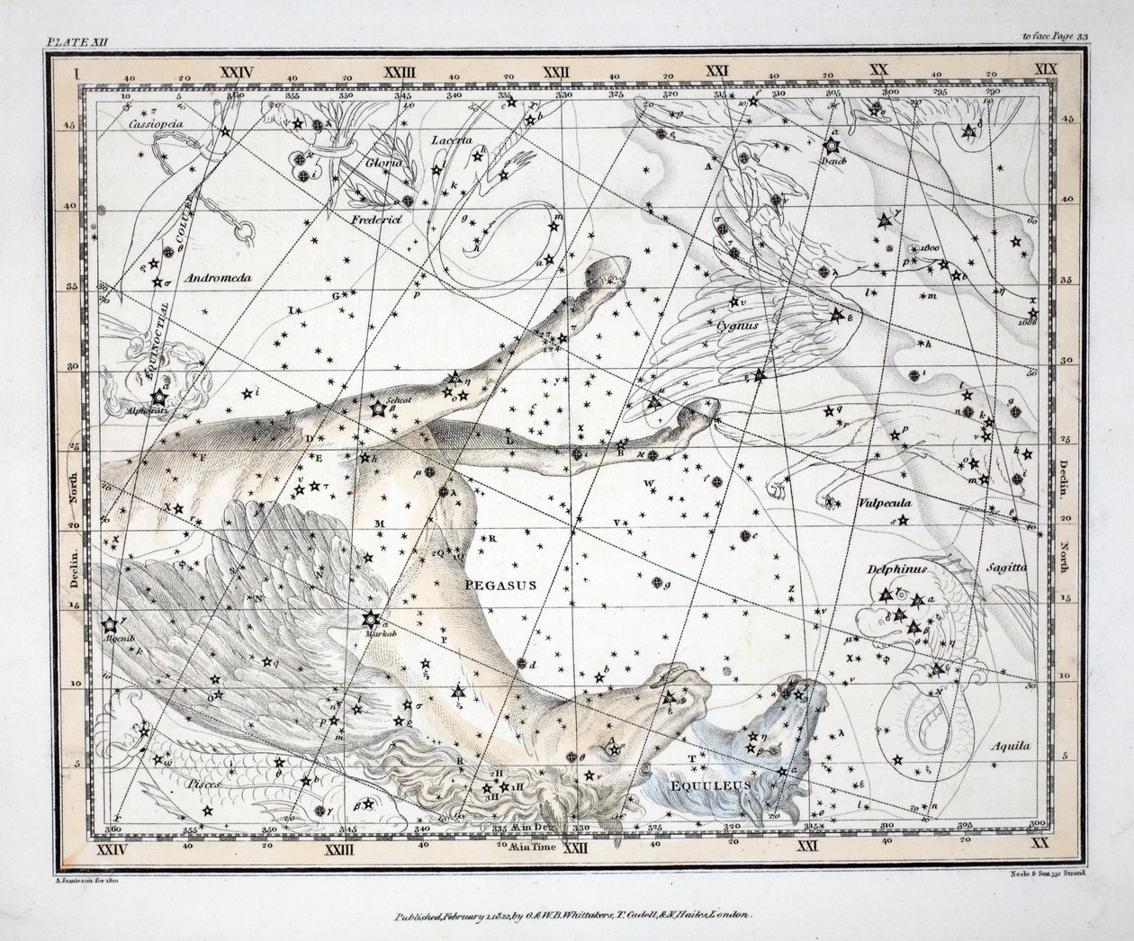 A csillagképek (XII. tábla) Pegasus és Equuleus, Alexander Jamieson "A Celestial Atlas" című művéből, kiad. London 1822 (kézi színes metszet) alkotó: Alexander Jamieson