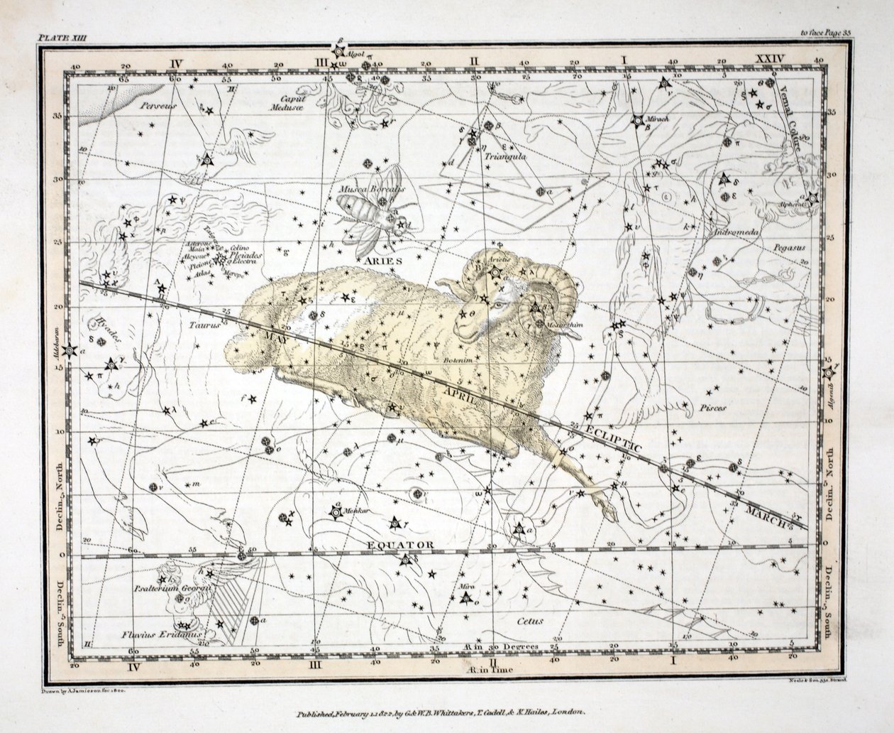 A csillagképek (XIII. tábla) Kos és Musca Borealis, Alexander Jamieson „Egy égi atlasza” című művéből, pub. London 1822 (kézzel színezett metszet) alkotó: Alexander Jamieson