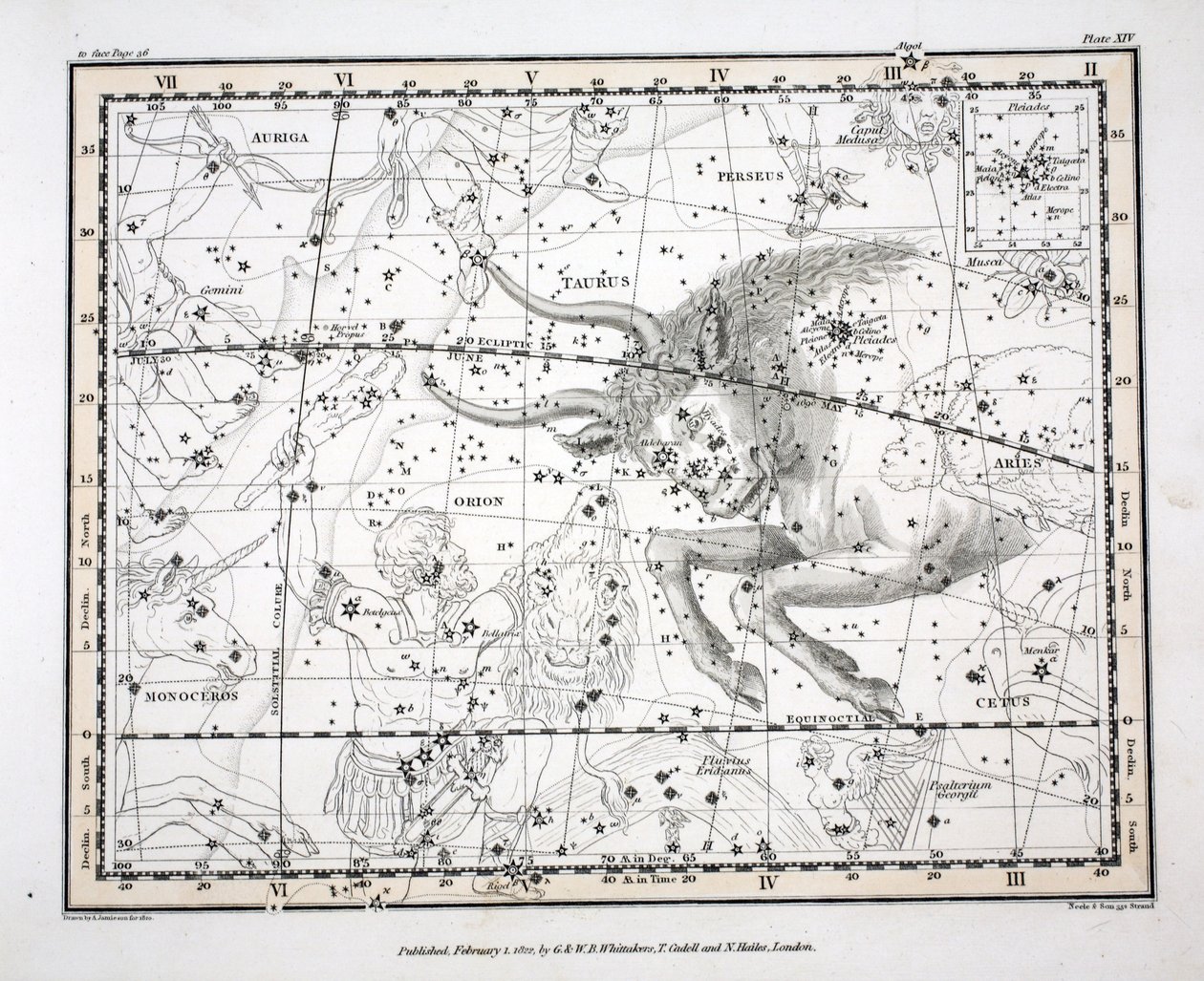 A csillagképek (XIV. tábla)Taurus, Alexander Jamieson "A Celestial Atlas" című művéből, kiad. London 1822 (kézi színes metszet) alkotó: Alexander Jamieson