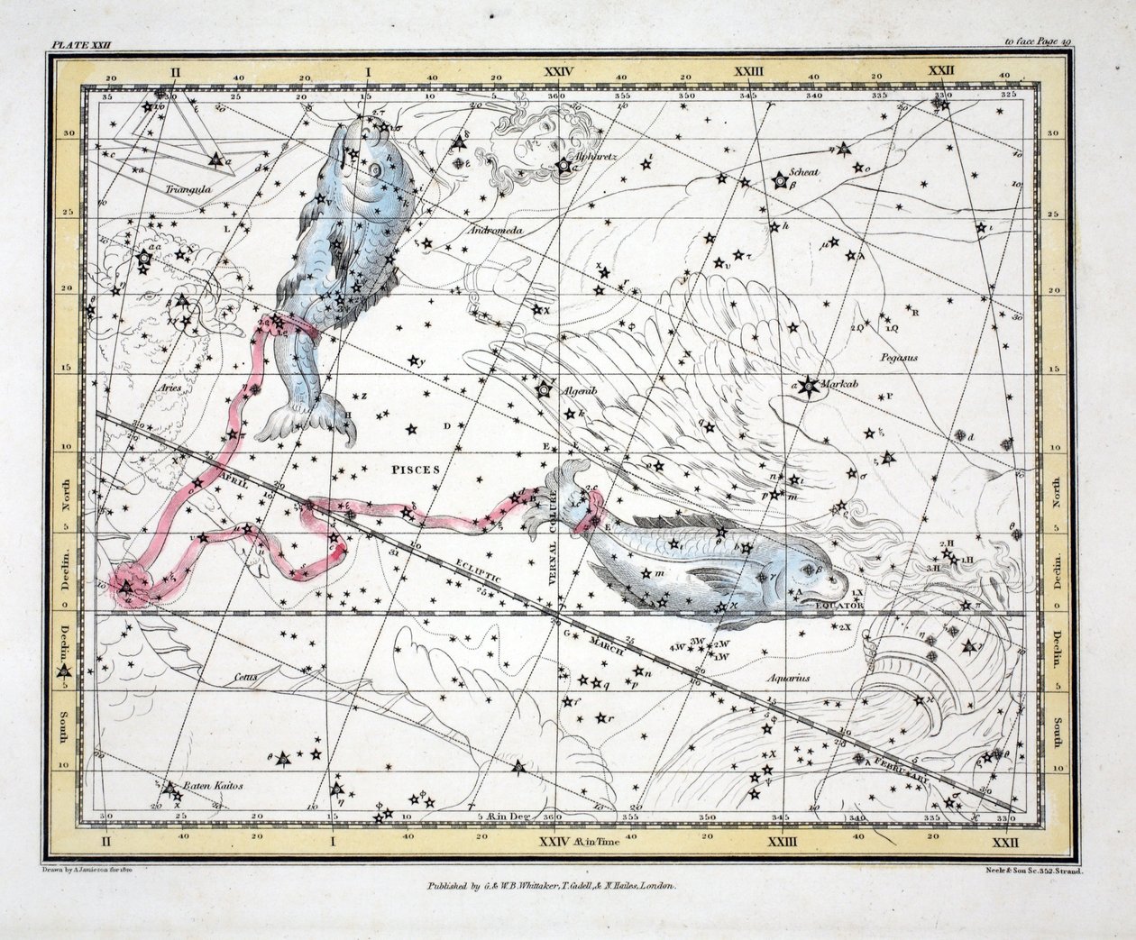 A csillagképek (XXII. tábla) Halak, Alexander Jamieson „Egy égi atlasza” című művéből, pub. London 1822 (kézzel színezett metszet) alkotó: Alexander Jamieson