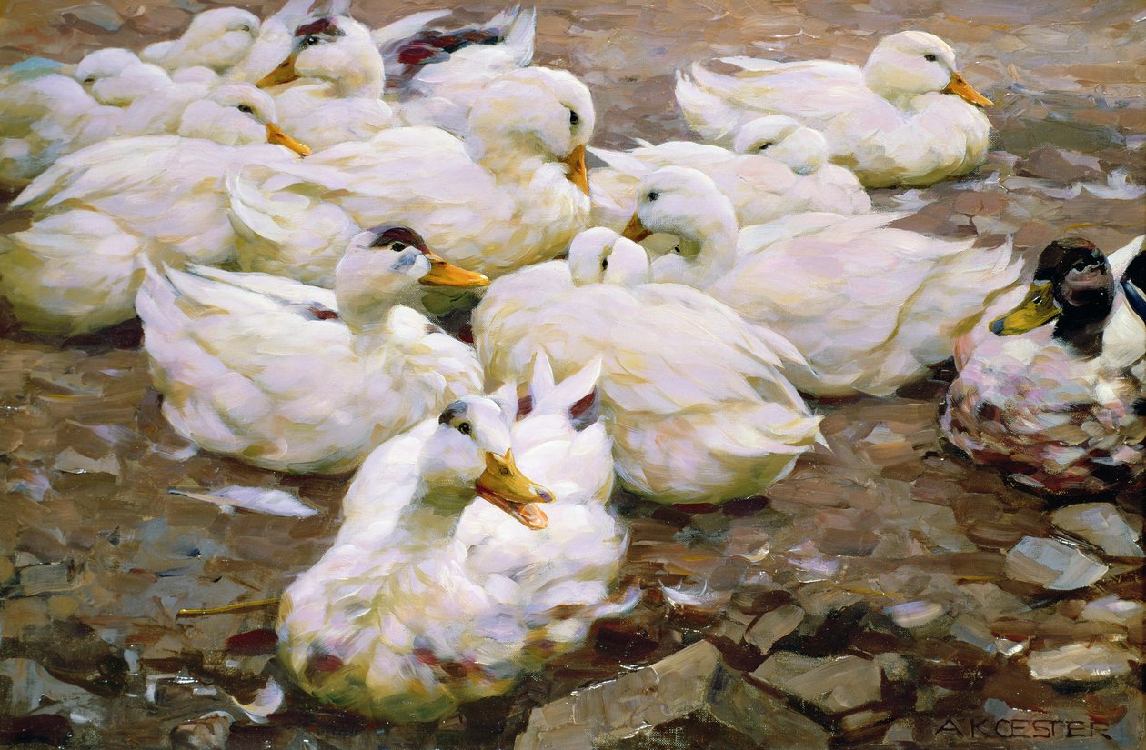 Kacsák a tavon alkotó: Alexander Koester