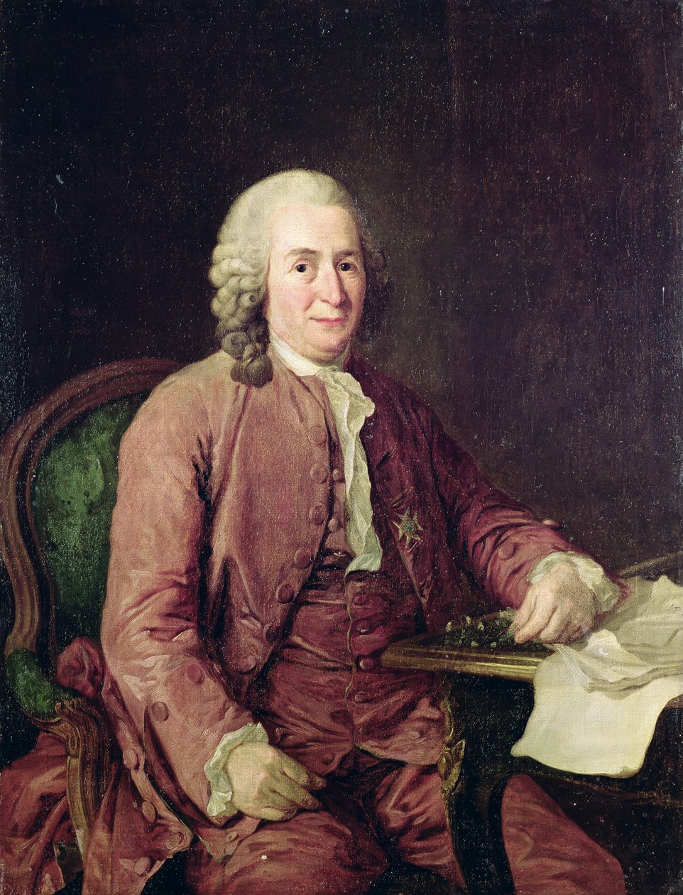 Carl von Linnaeus (1707-78) portréja alkotó: Alexander Roslin