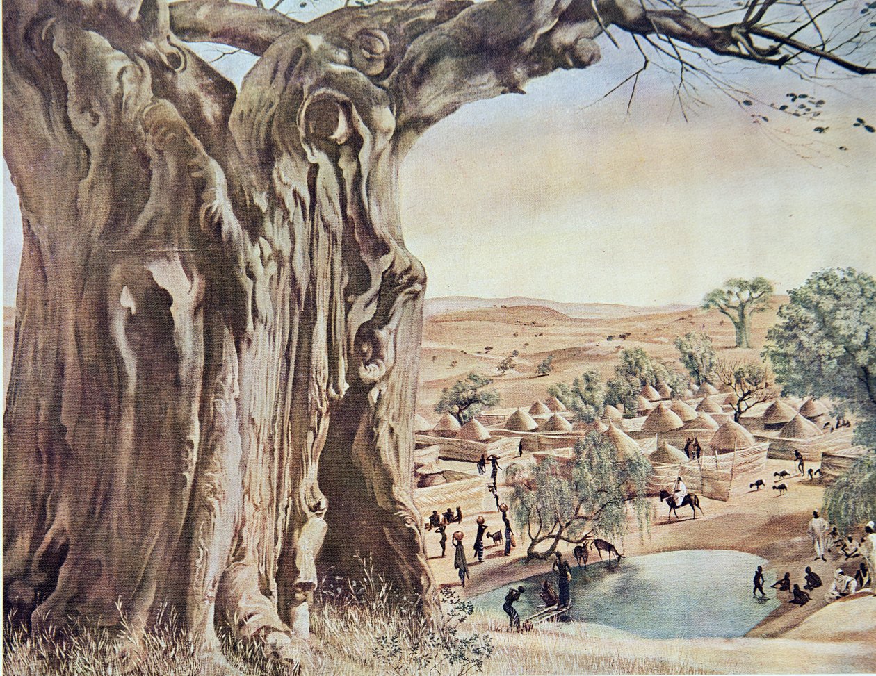 Egy Baobab (Szudán), a Drawings and Paintings of Africa-ból, kivégezve a Citroen Center Africa expedíció során, a második Haardt Audouin-Dubreuil küldetés, kocsma. Párizs, 1927 alkotó: Alexander Yakovlev